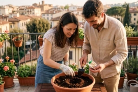 Balkon ve Kiler Alanlarında İstiridye ile Morel Mantarı Yetiştiriciliği İlgi Görüyor