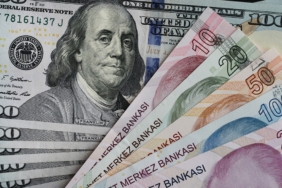 Dolar Kuru Haftanın İlk İşlemlerinde 49,18 Seviyesini Aşarak Rekor Tazeledi